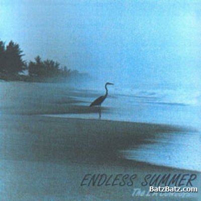 The L.A. Cowboys - Endless Summer 1993